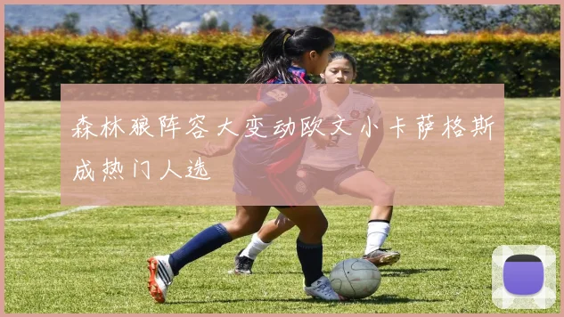 森林狼阵容大变动欧文小卡萨格斯成热门人选